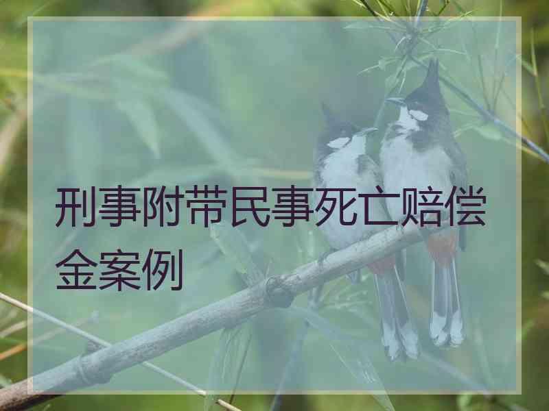 刑事附带民事死亡赔偿金案例