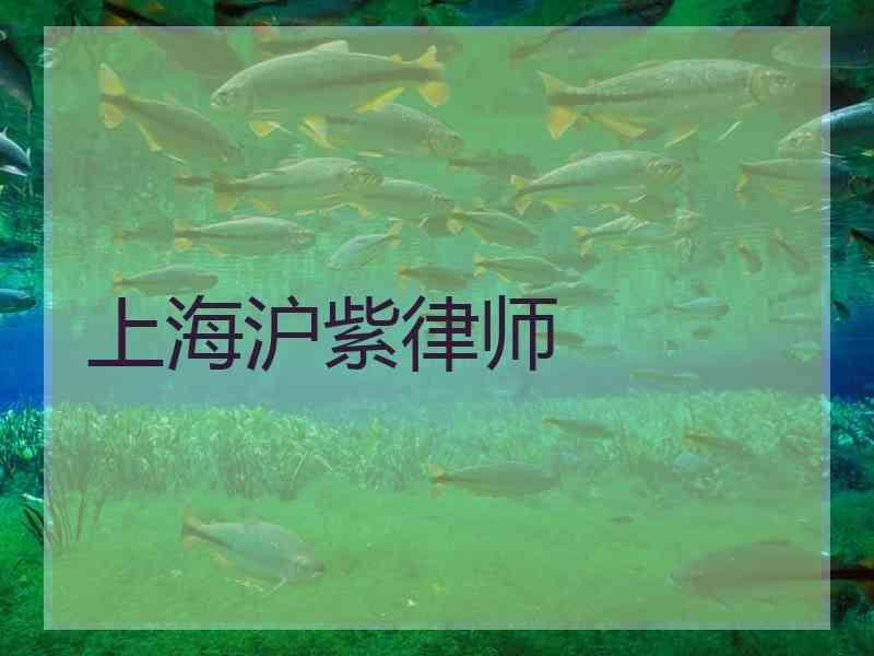 上海沪紫律师