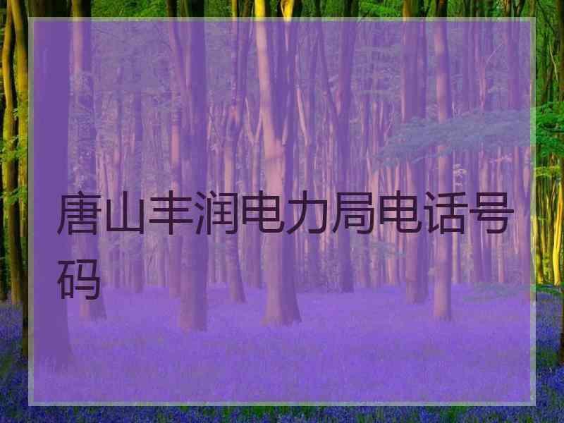 唐山丰润电力局电话号码