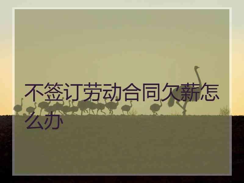不签订劳动合同欠薪怎么办