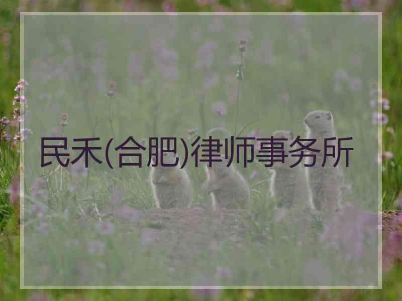 民禾(合肥)律师事务所