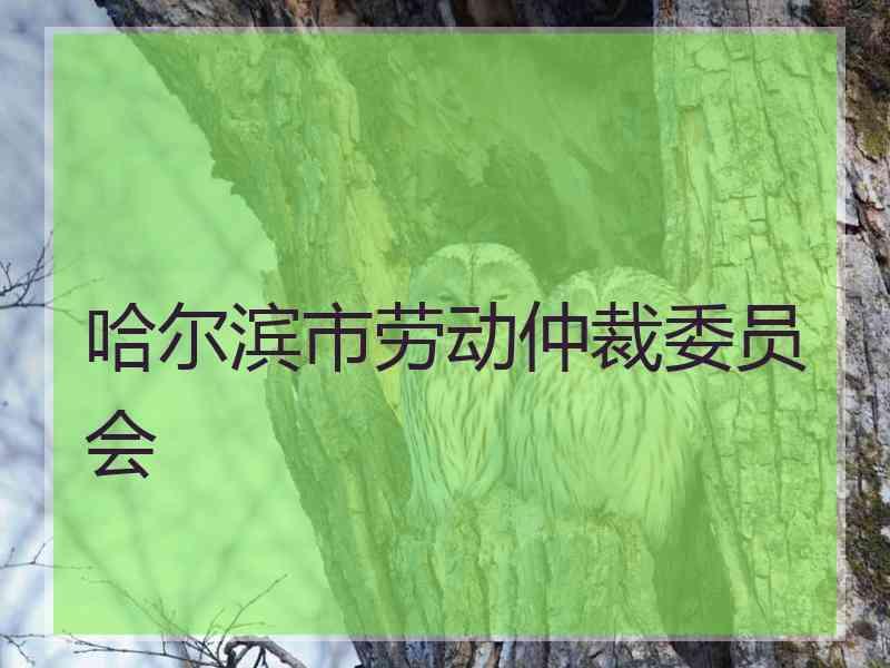 哈尔滨市劳动仲裁委员会