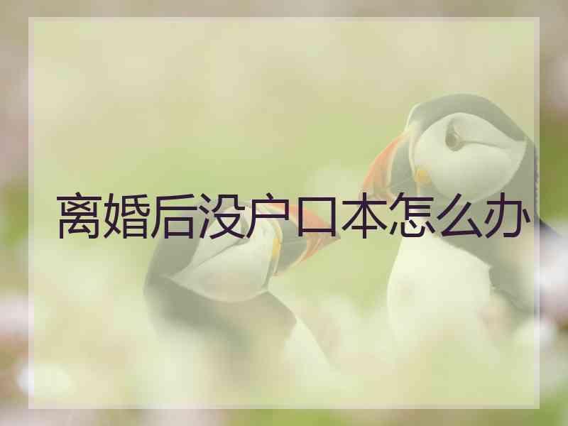 离婚后没户口本怎么办