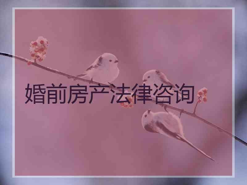 婚前房产法律咨询