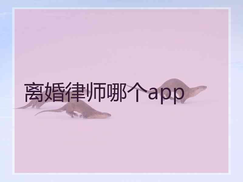 离婚律师哪个app