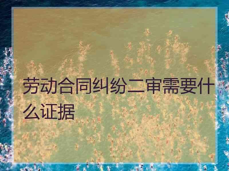 劳动合同纠纷二审需要什么证据