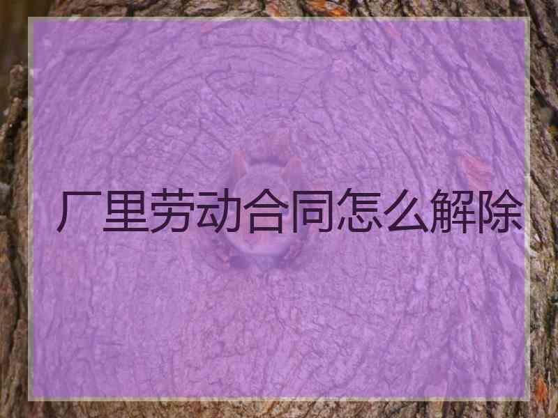 厂里劳动合同怎么解除