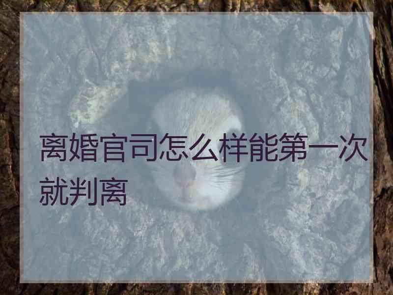 离婚官司怎么样能第一次就判离
