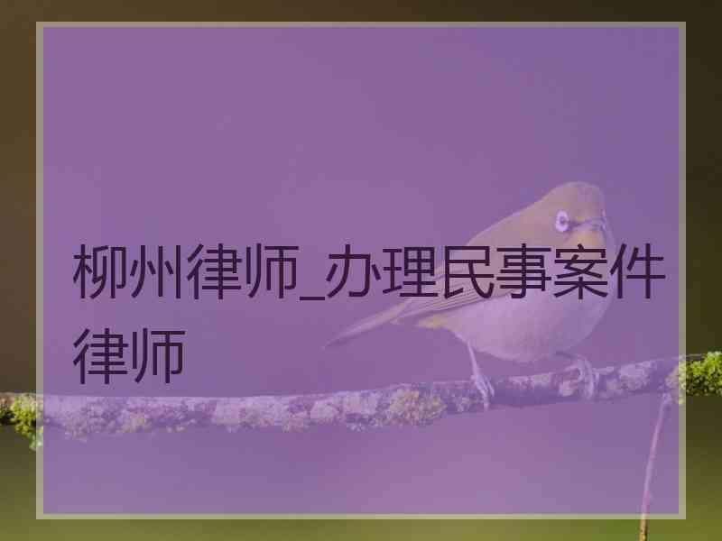 柳州律师_办理民事案件律师