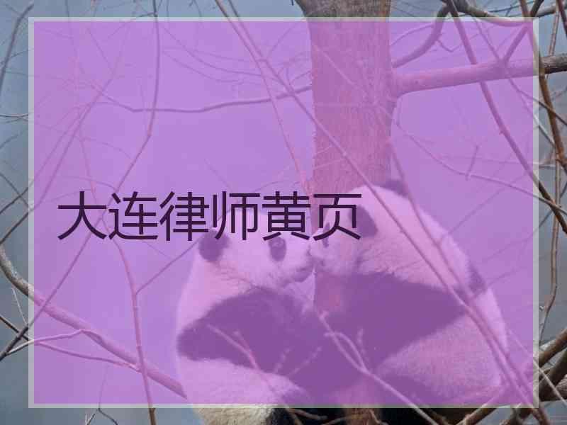 大连律师黄页