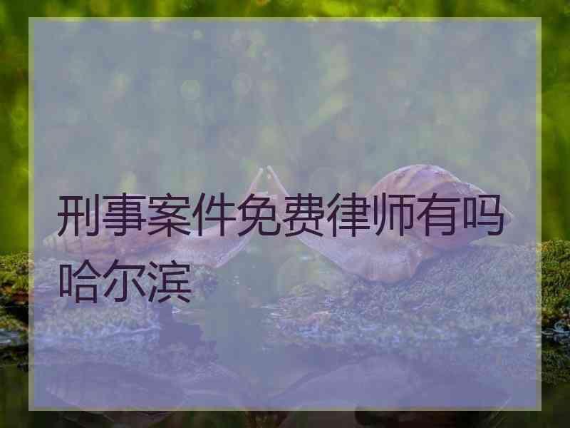 刑事案件免费律师有吗哈尔滨