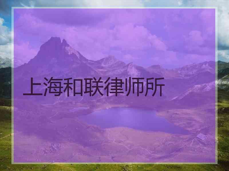 上海和联律师所