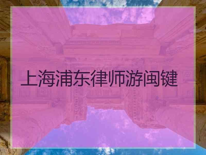 上海浦东律师游闽键