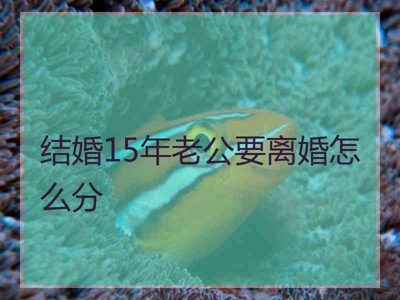 结婚15年老公要离婚怎么分