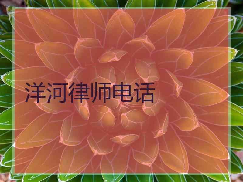 洋河律师电话