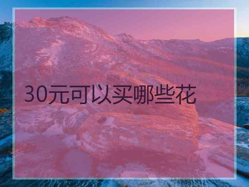 30元可以买哪些花
