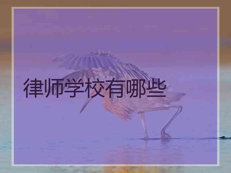 律师学校有哪些