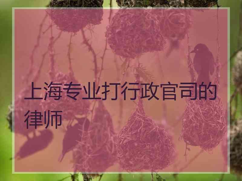 上海专业打行政官司的律师