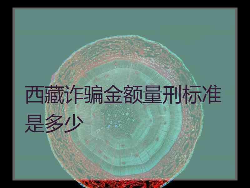 西藏诈骗金额量刑标准是多少