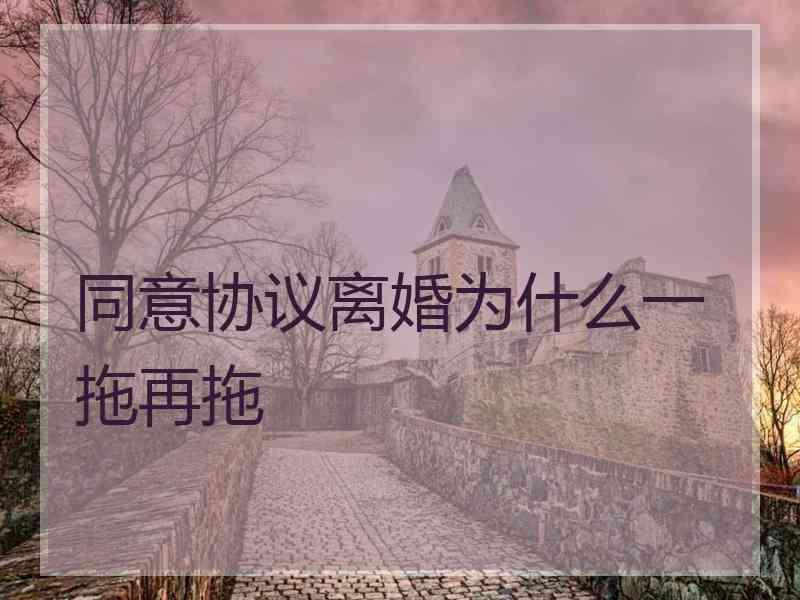 同意协议离婚为什么一拖再拖