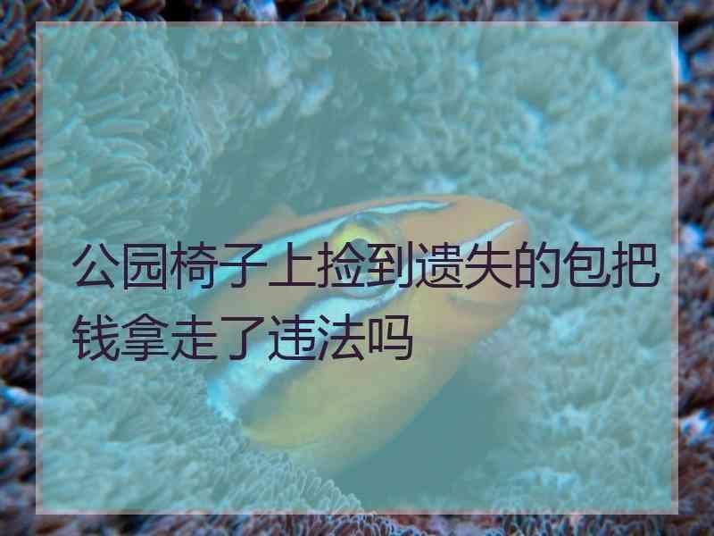 公园椅子上捡到遗失的包把钱拿走了违法吗