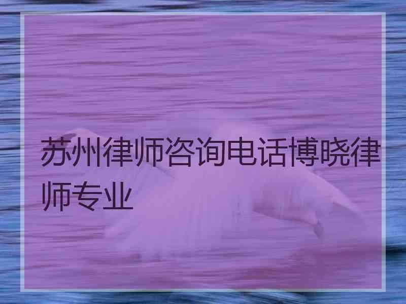 苏州律师咨询电话博晓律师专业