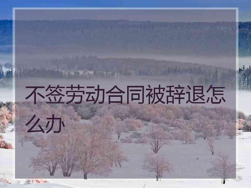 不签劳动合同被辞退怎么办