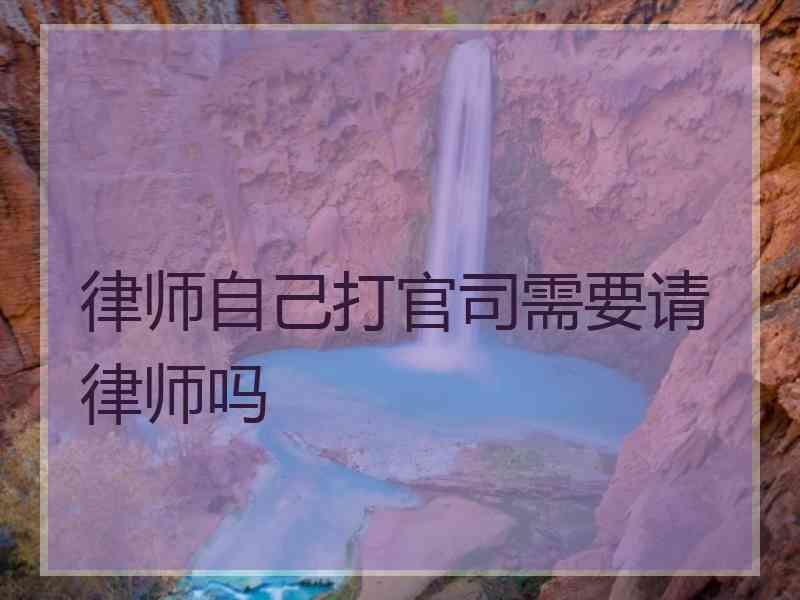 律师自己打官司需要请律师吗