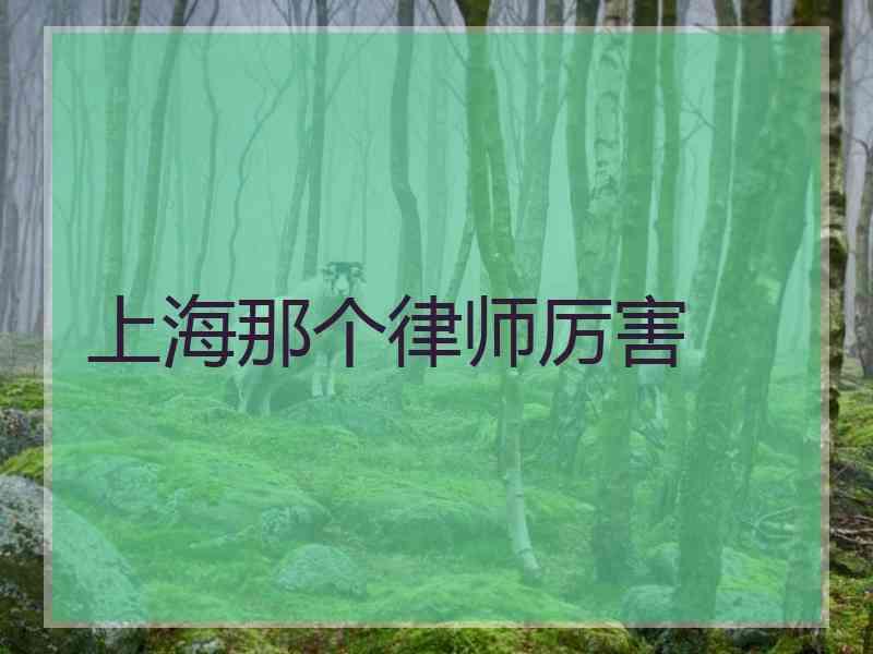 上海那个律师厉害