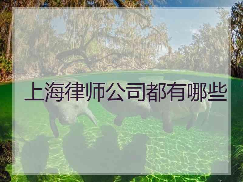 上海律师公司都有哪些