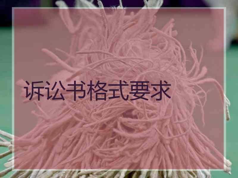 诉讼书格式要求