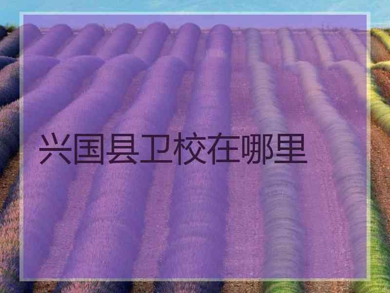 兴国县卫校在哪里