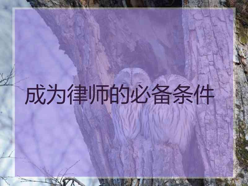 成为律师的必备条件