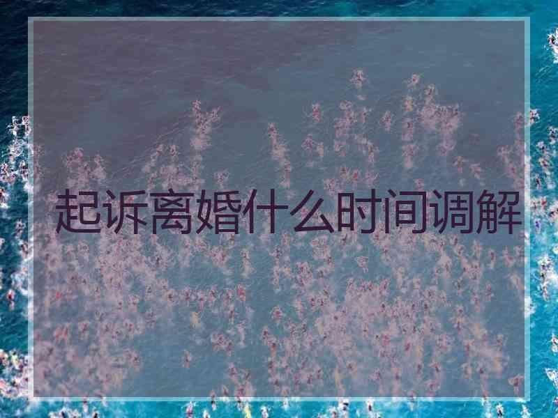 起诉离婚什么时间调解