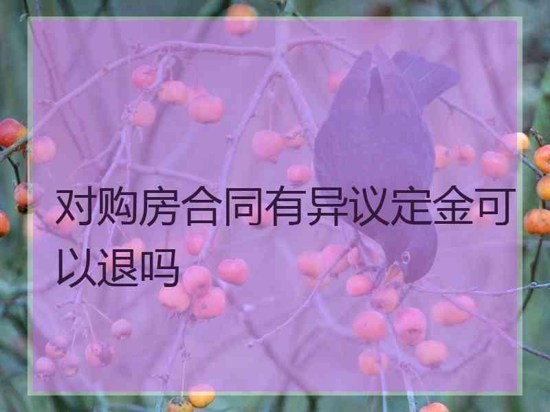 对购房合同有异议定金可以退吗