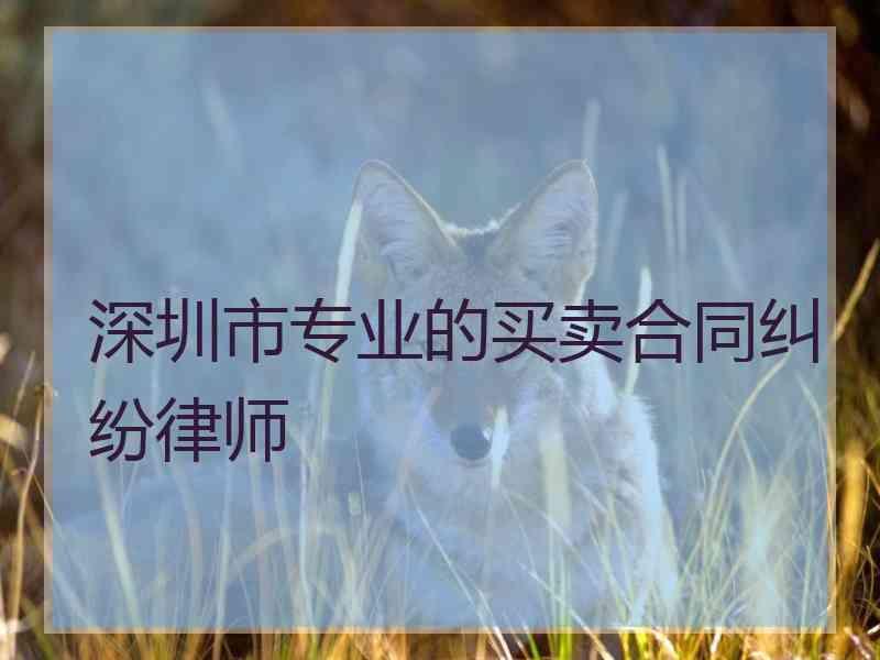 深圳市专业的买卖合同纠纷律师
