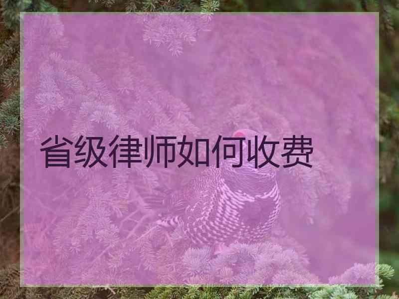 省级律师如何收费