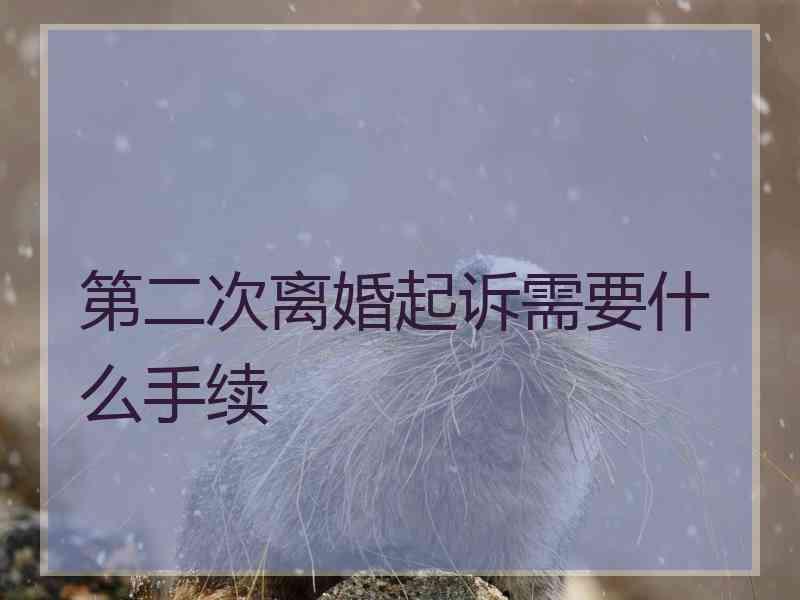 第二次离婚起诉需要什么手续