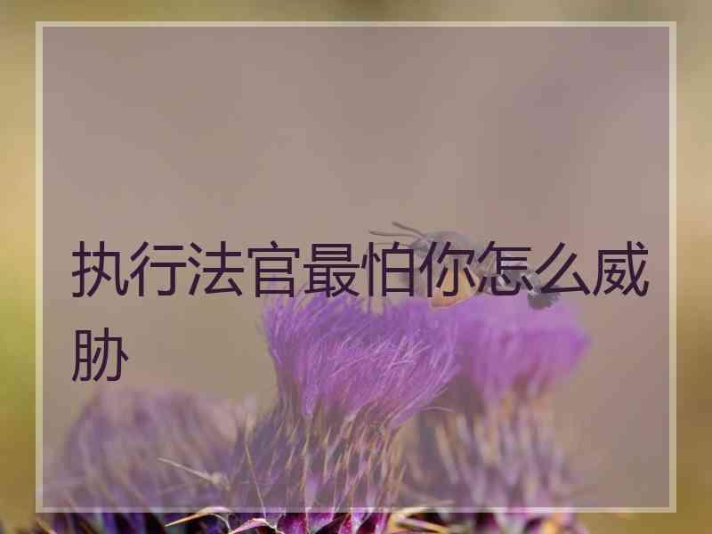 执行法官最怕你怎么威胁