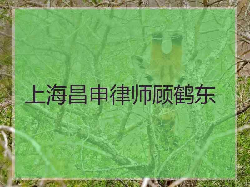 上海昌申律师顾鹤东