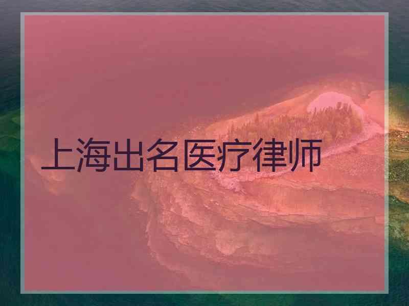上海出名医疗律师