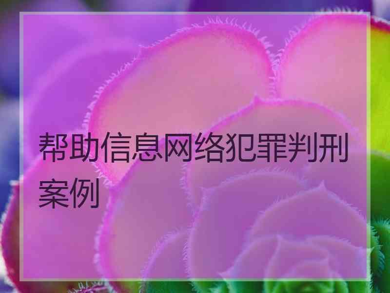 帮助信息网络犯罪判刑案例