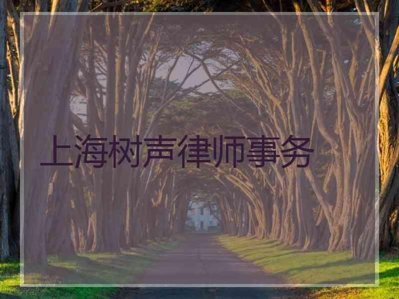 上海树声律师事务