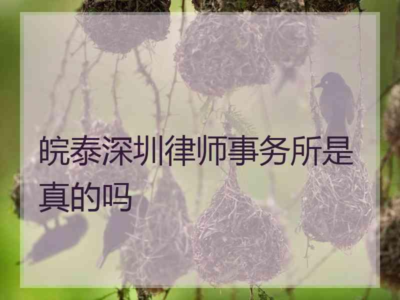 皖泰深圳律师事务所是真的吗