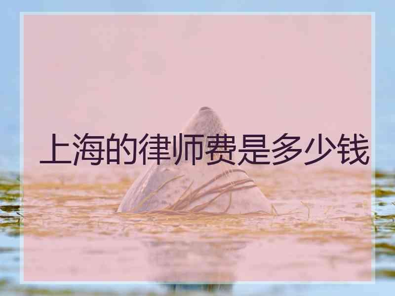 上海的律师费是多少钱