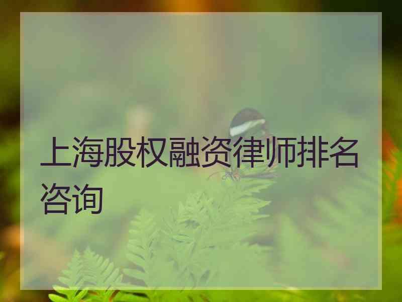 上海股权融资律师排名咨询