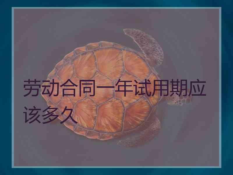 劳动合同一年试用期应该多久