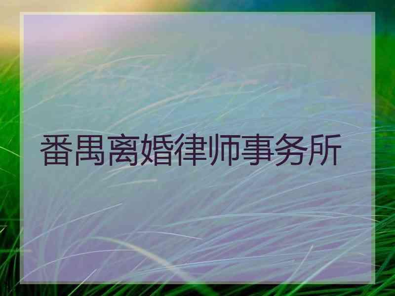 番禺离婚律师事务所