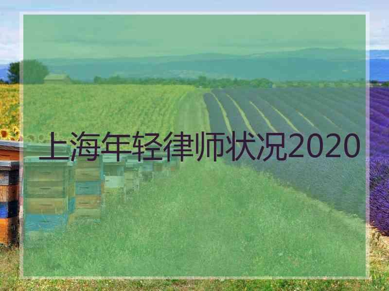 上海年轻律师状况2020