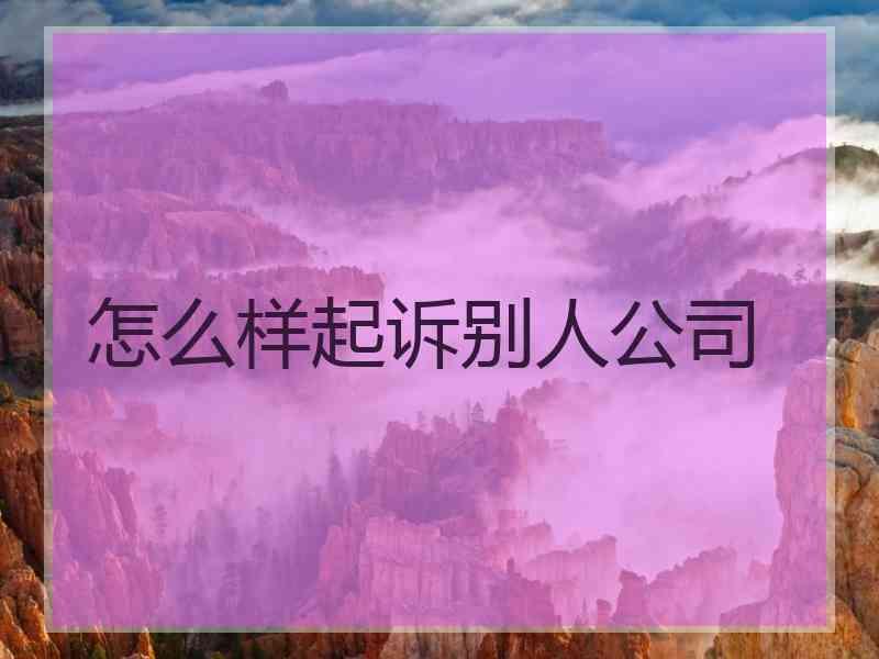 怎么样起诉别人公司